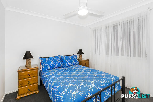 19 Redstart Street UPPER COOMERA QLD 4209