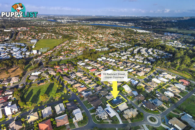 19 Redstart Street UPPER COOMERA QLD 4209