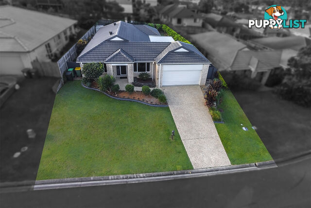 19 Redstart Street UPPER COOMERA QLD 4209