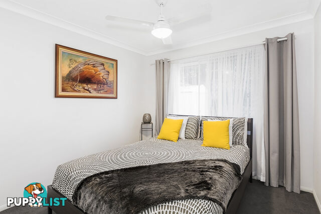 19 Redstart Street UPPER COOMERA QLD 4209