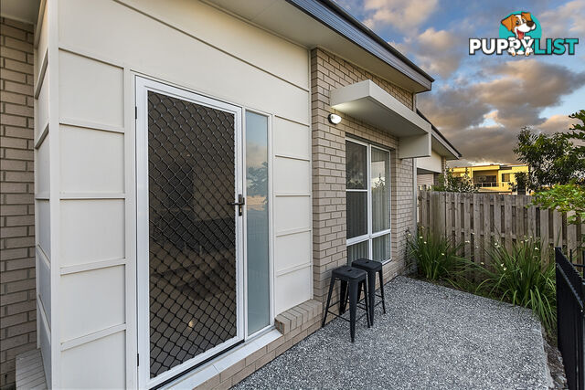 19 Hampton Lane PIMPAMA QLD 4209