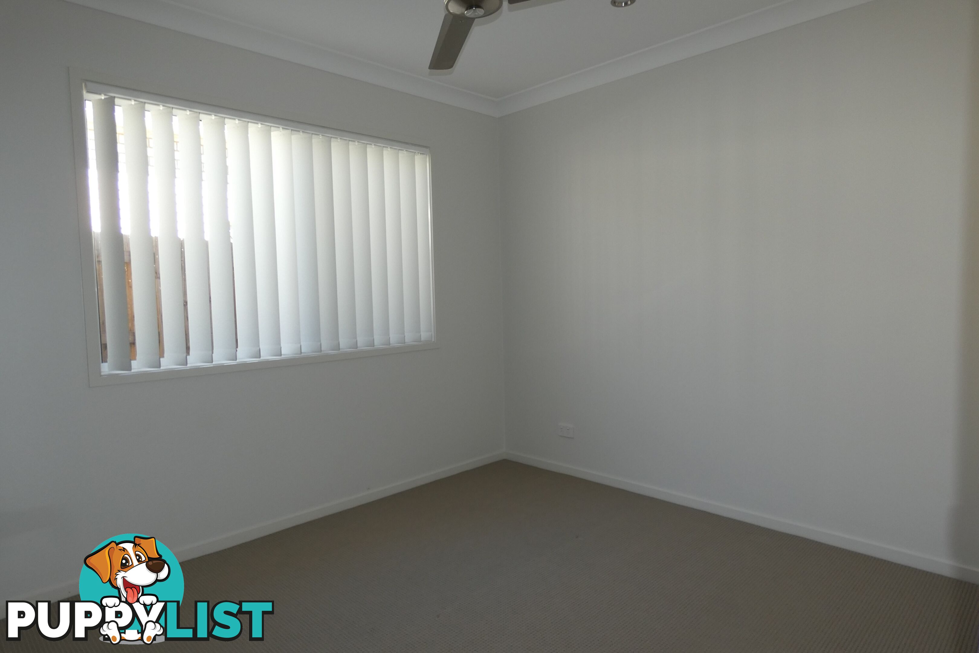 19 Hampton Lane PIMPAMA QLD 4209