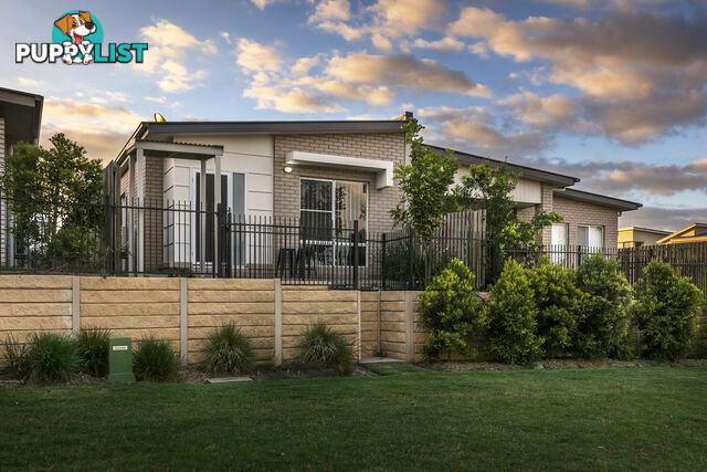 19 Hampton Lane PIMPAMA QLD 4209