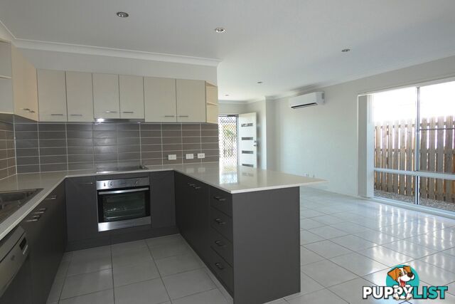 19 Hampton Lane PIMPAMA QLD 4209