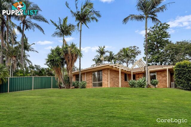 16 Ealing Court NERANG QLD 4211