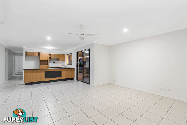 53 Glentree Avenue UPPER COOMERA QLD 4209