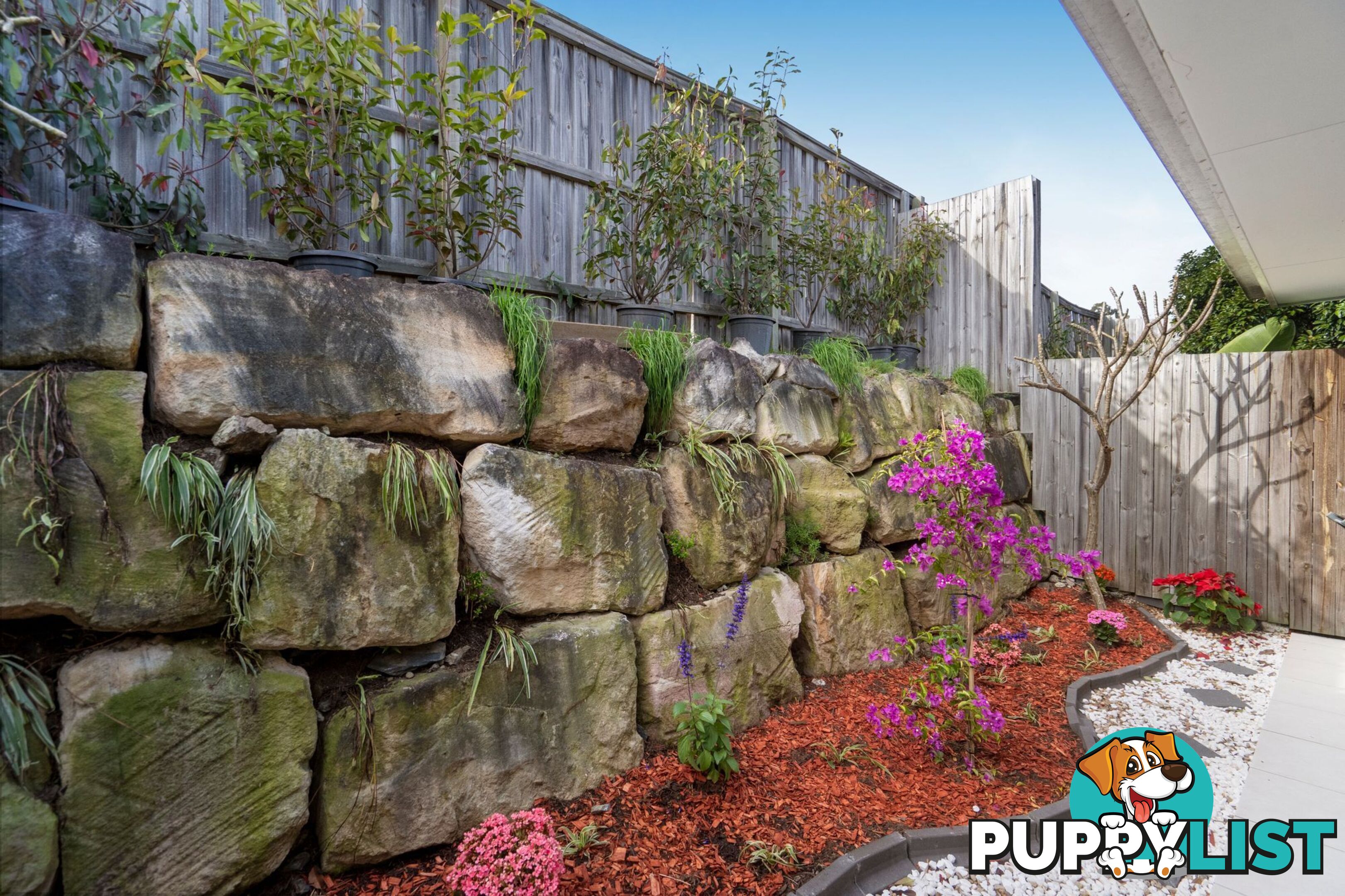 1/14 & 2/14 Aspect Street PIMPAMA QLD 4209