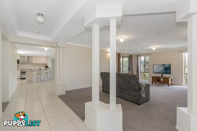 39 Rix Drive UPPER COOMERA QLD 4209