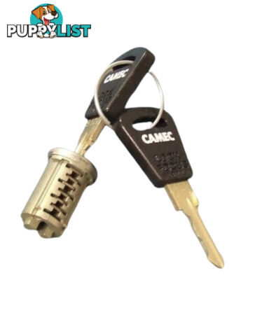 Original Camec 3-Point Lock Barrel & Key