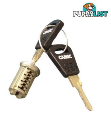 Original Camec 3-Point Lock Barrel & Key