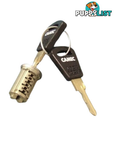 Original Camec 3-Point Lock Barrel & Key