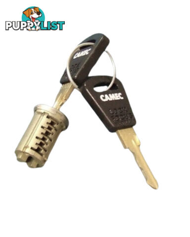 Original Camec 3-Point Lock Barrel & Key