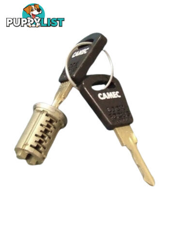 Original Camec 3-Point Lock Barrel & Key