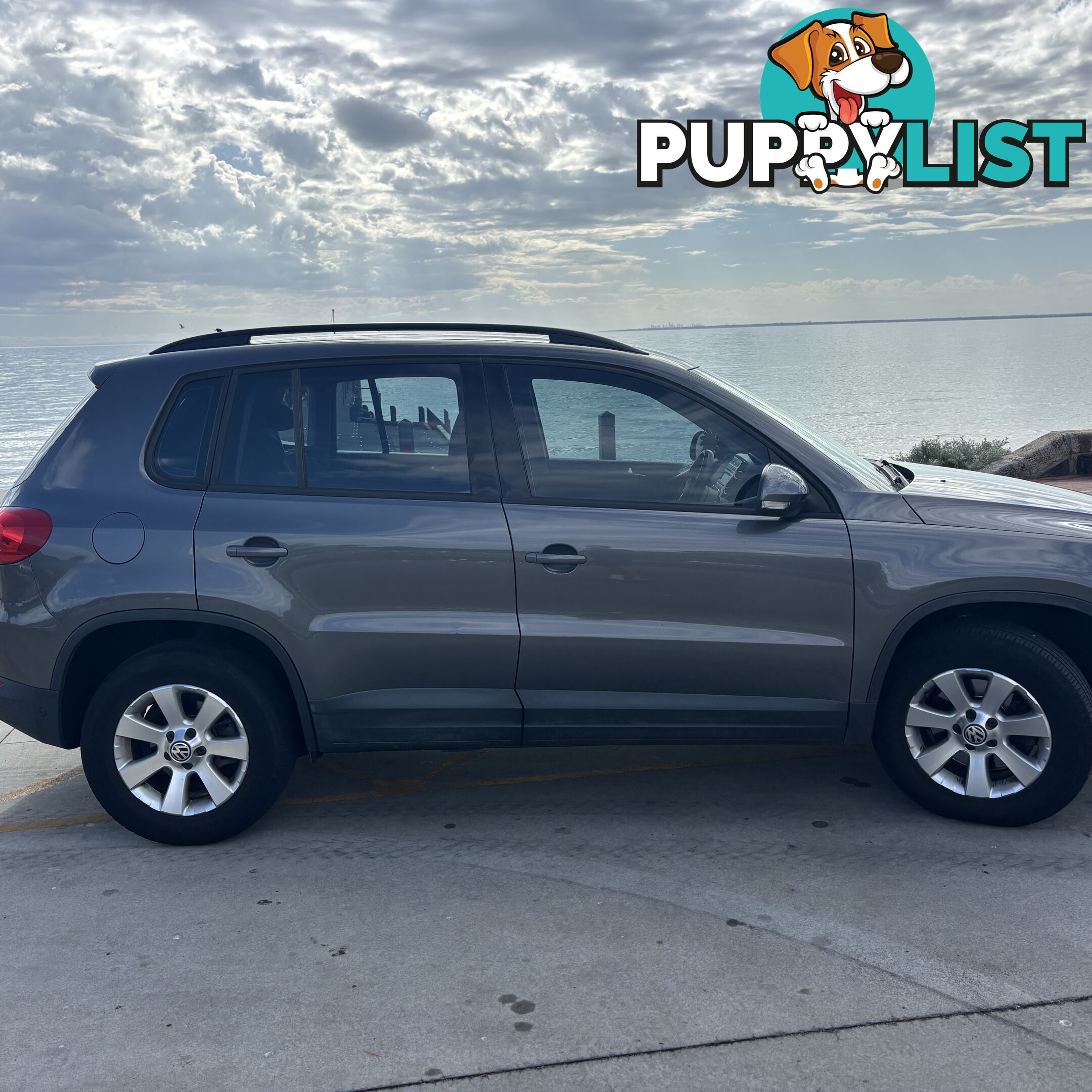 2013 Volkswagen Tiguan 5NMY14 Wagon Automatic