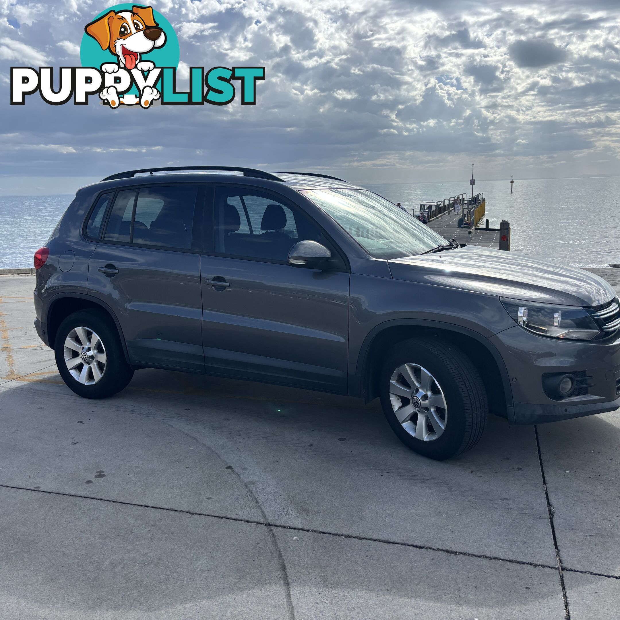 2013 Volkswagen Tiguan 5NMY14 Wagon Automatic
