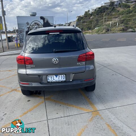 2013 Volkswagen Tiguan 5NMY14 Wagon Automatic