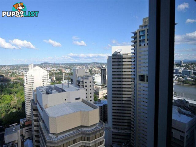 3110/70 Mary Street BRISBANE CITY QLD 4000