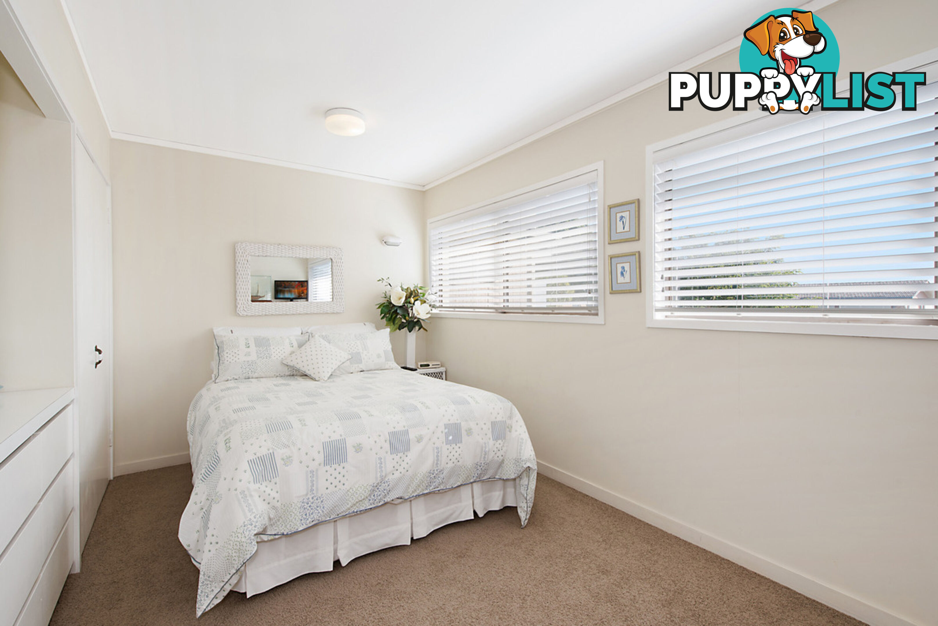 4 Pavo Street CAMP HILL QLD 4152