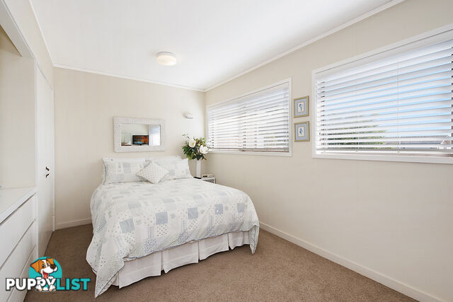 4 Pavo Street CAMP HILL QLD 4152