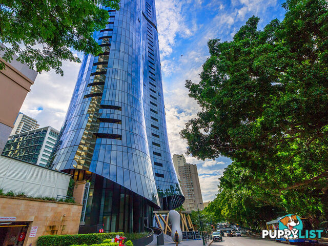 1903/140 Alice Street BRISBANE CITY QLD 4000