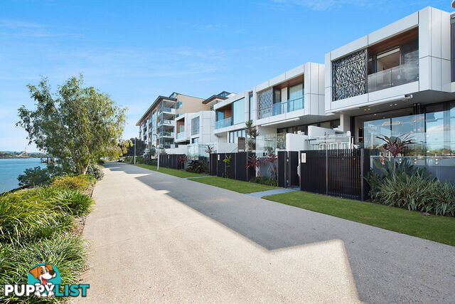 5/102 Parkside Circuit HAMILTON QLD 4007