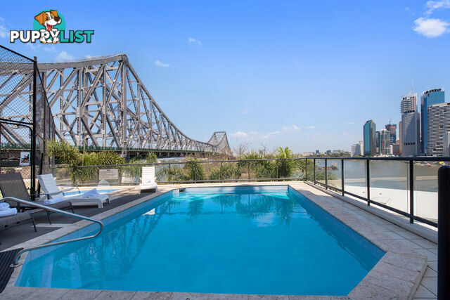 1A/15 Ivory Lane BRISBANE CITY QLD 4000