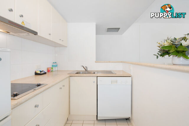 1A/15 Ivory Lane BRISBANE CITY QLD 4000