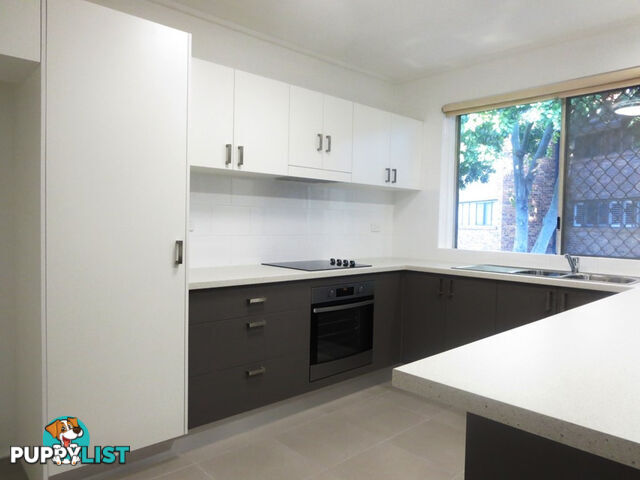 6/18 Griffith Street NEW FARM QLD 4005