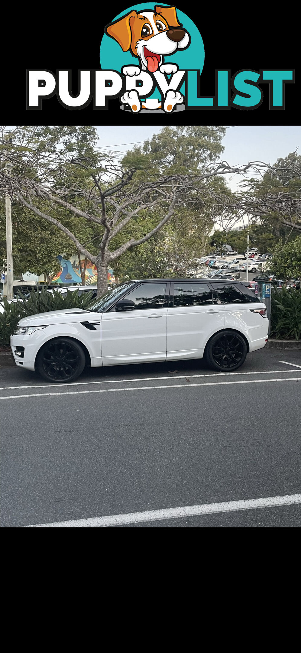 2016 Land Rover Range Rover Sport SUV Automatic