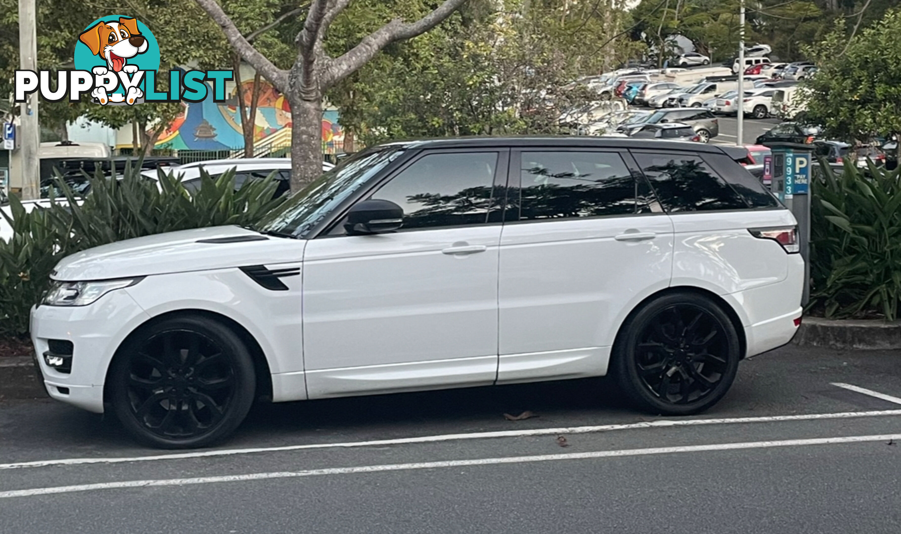 2016 Land Rover Range Rover Sport SUV Automatic