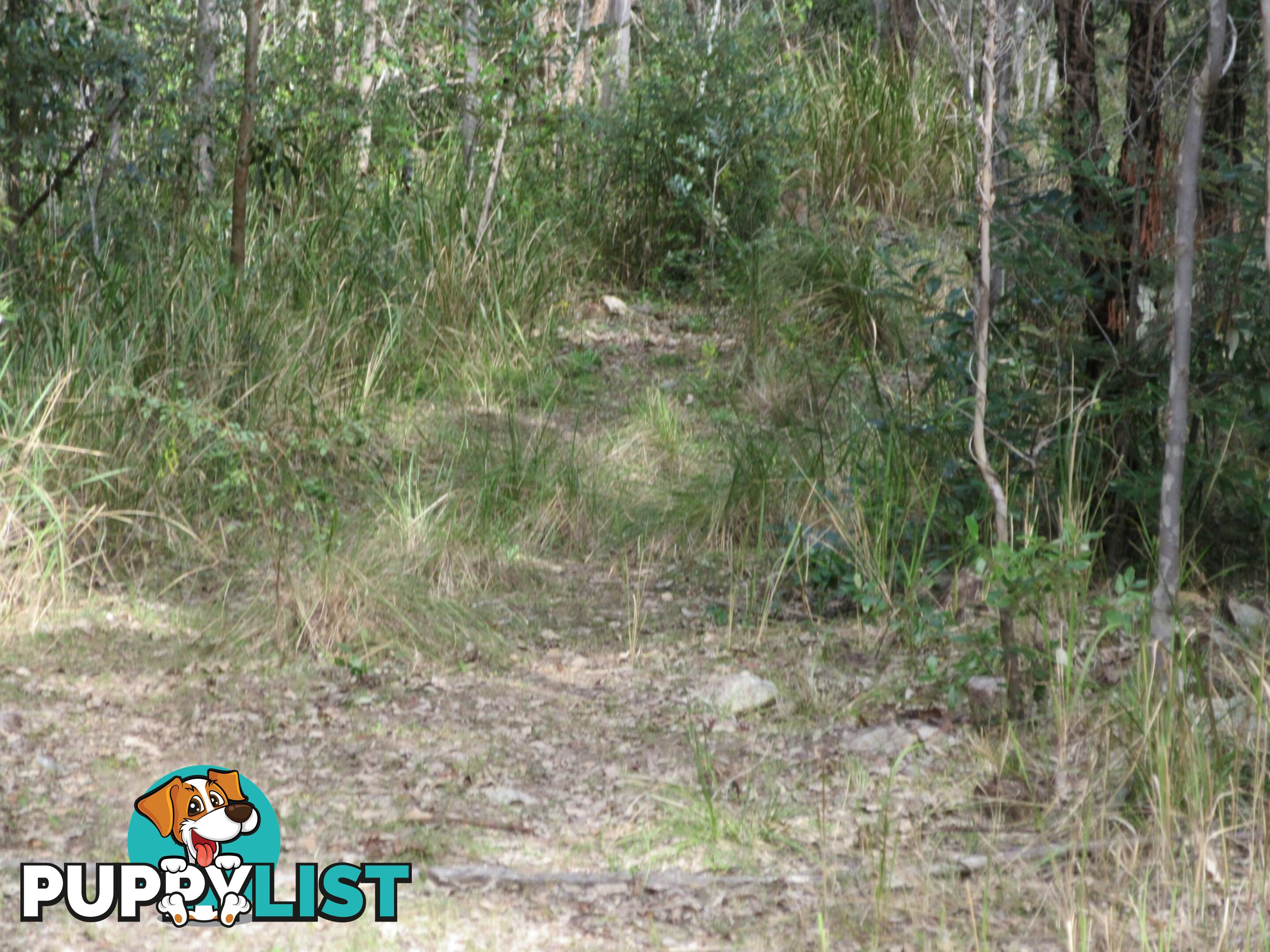 Lot 11 Leslie Creek Road Drake NSW 2469