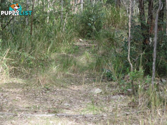 Lot 11 Leslie Creek Road Drake NSW 2469