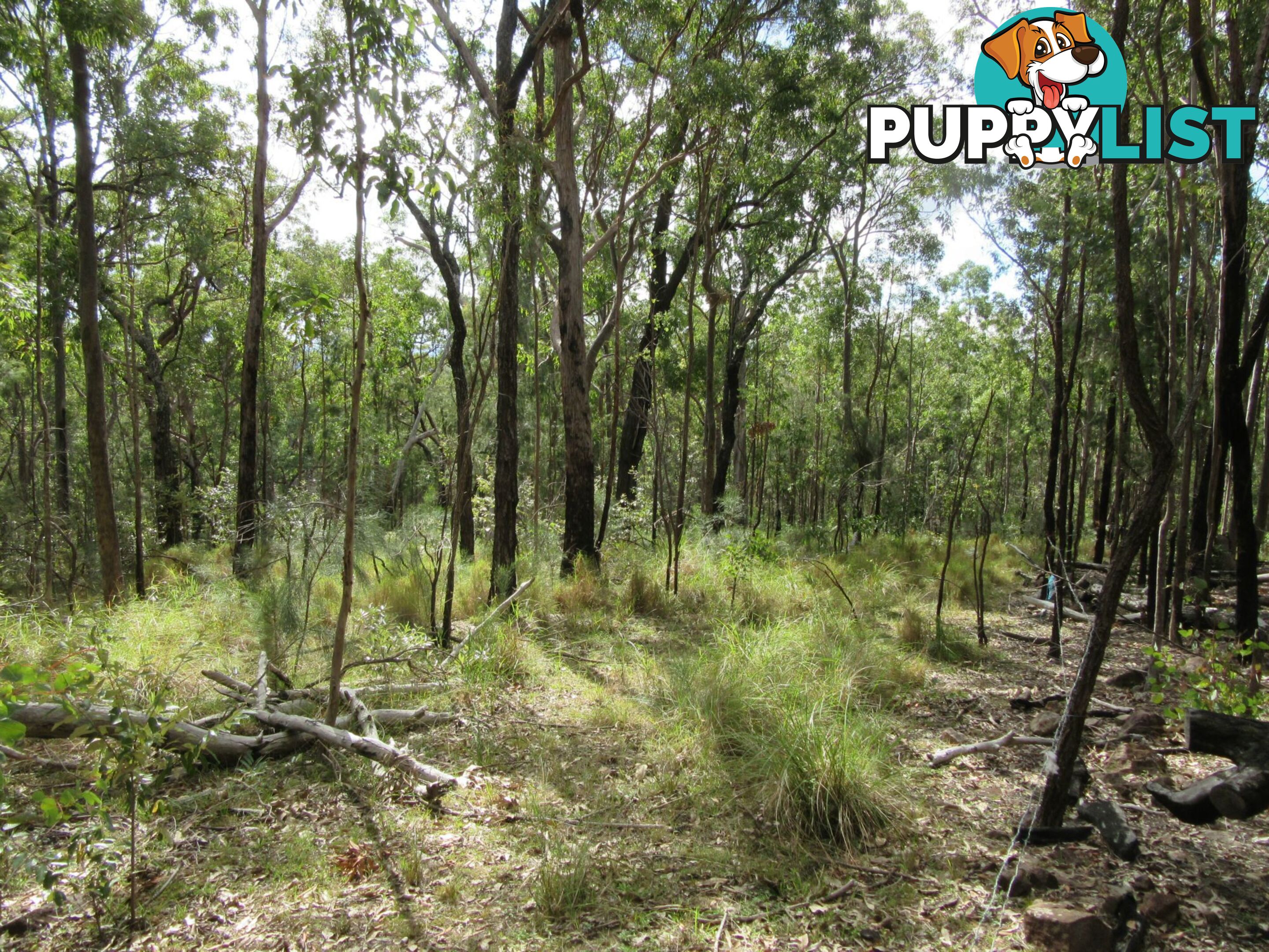 Lot 11 Leslie Creek Road Drake NSW 2469