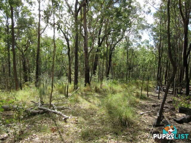 Lot 11 Leslie Creek Road Drake NSW 2469