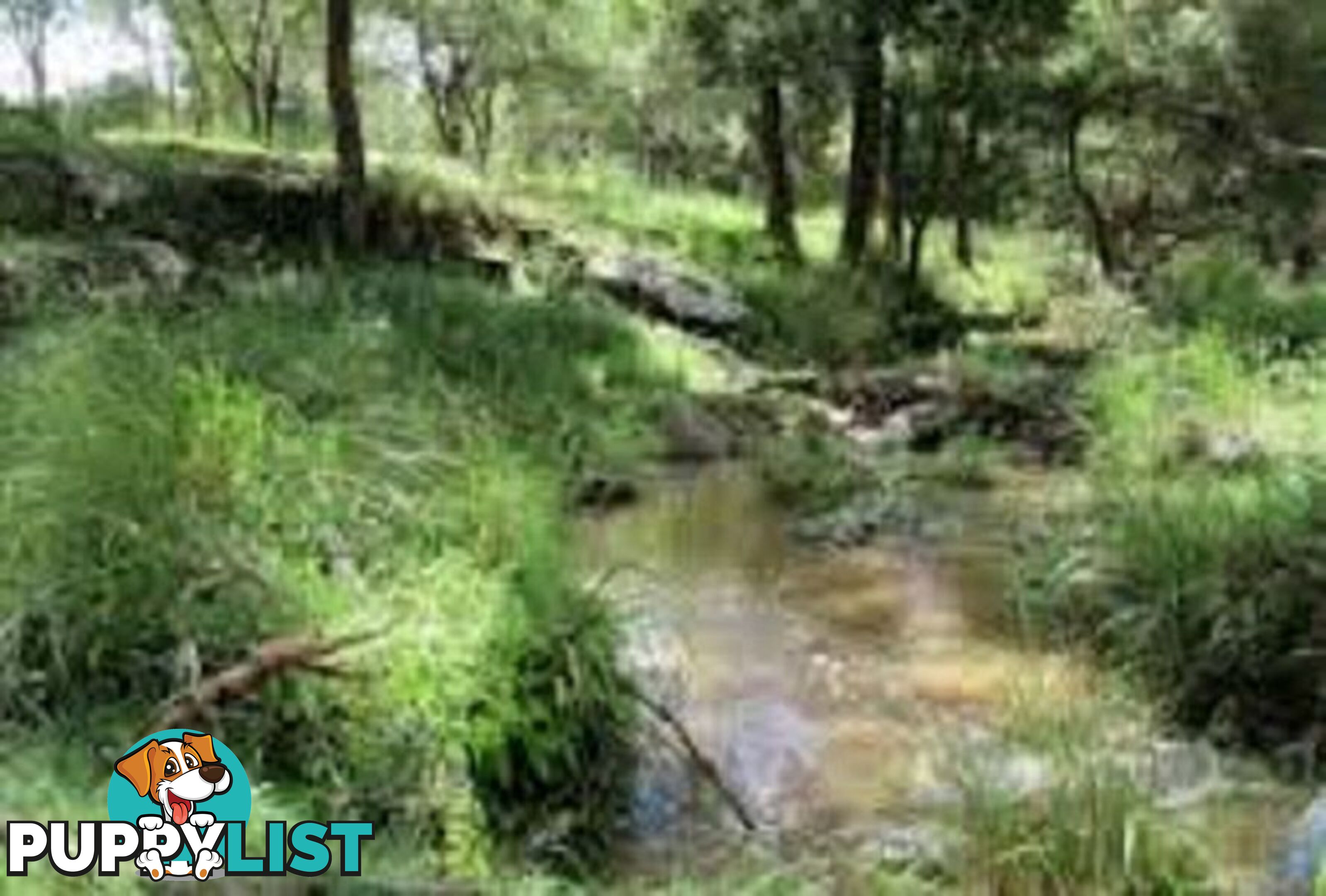 Lot 11 Leslie Creek Road Drake NSW 2469