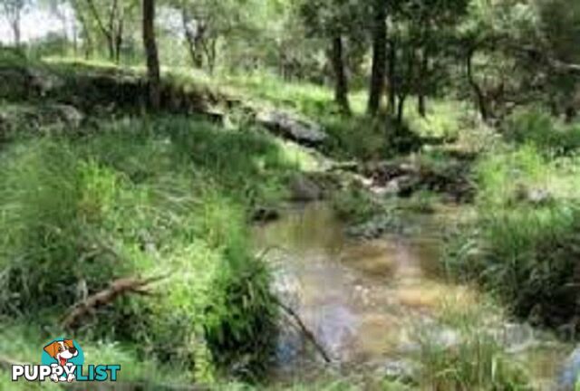 Lot 11 Leslie Creek Road Drake NSW 2469