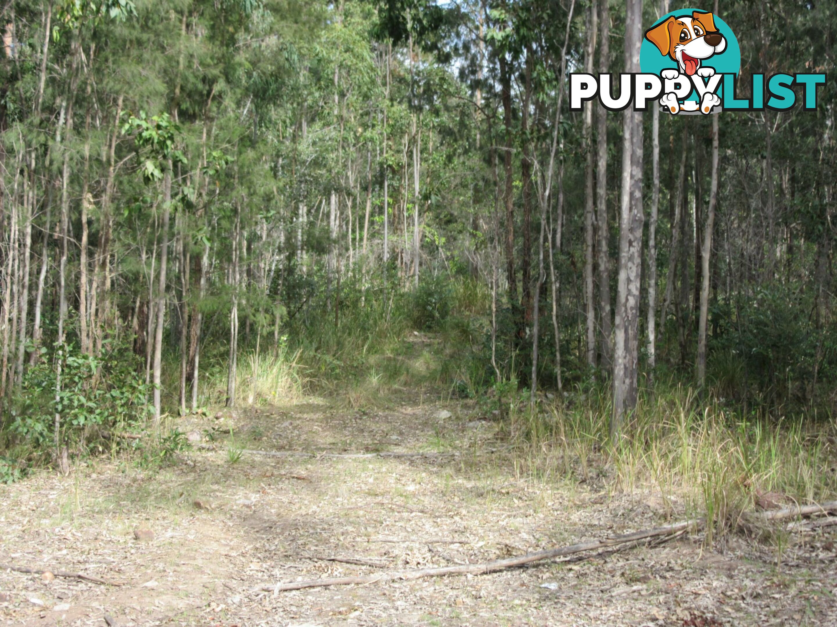 Lot 11 Leslie Creek Road Drake NSW 2469