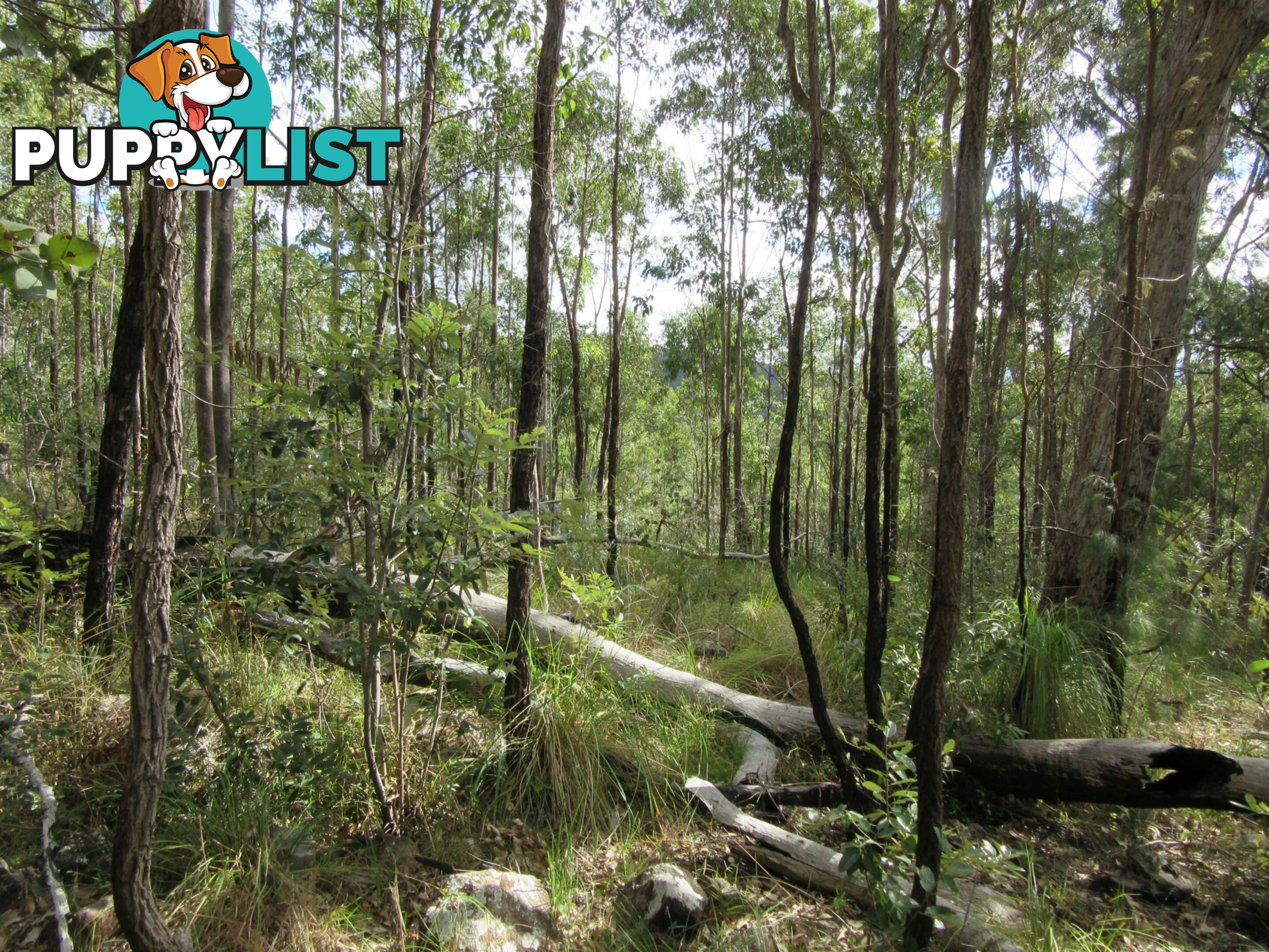 Lot 11 Leslie Creek Road Drake NSW 2469