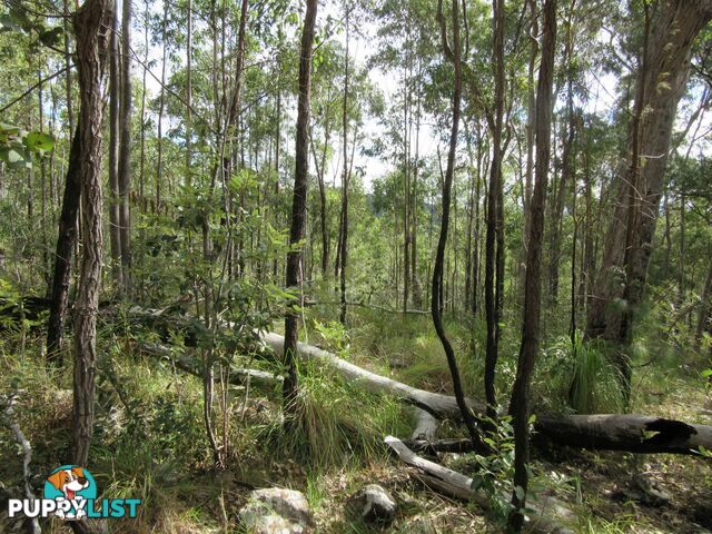 Lot 11 Leslie Creek Road Drake NSW 2469