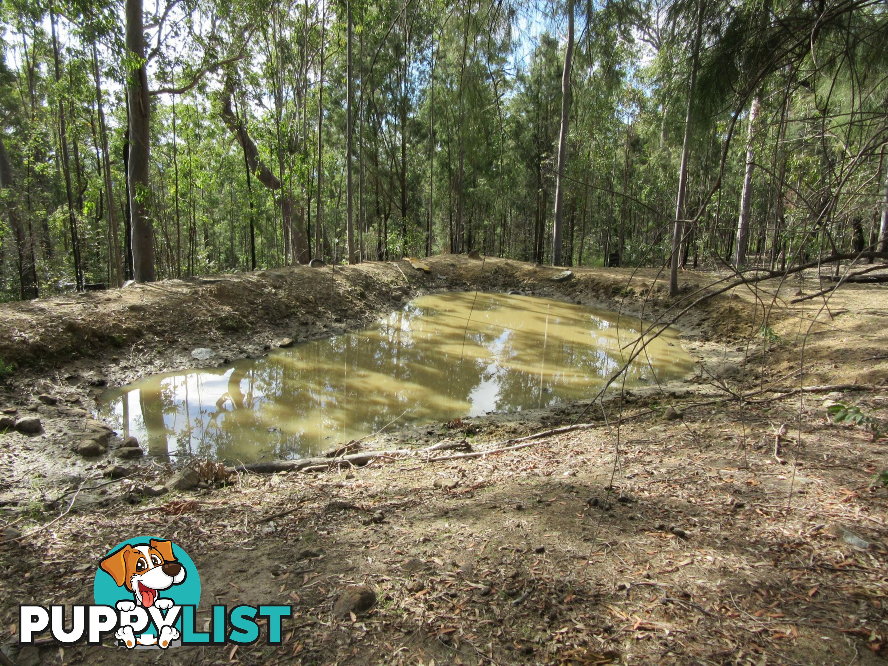 Lot 11 Leslie Creek Road Drake NSW 2469