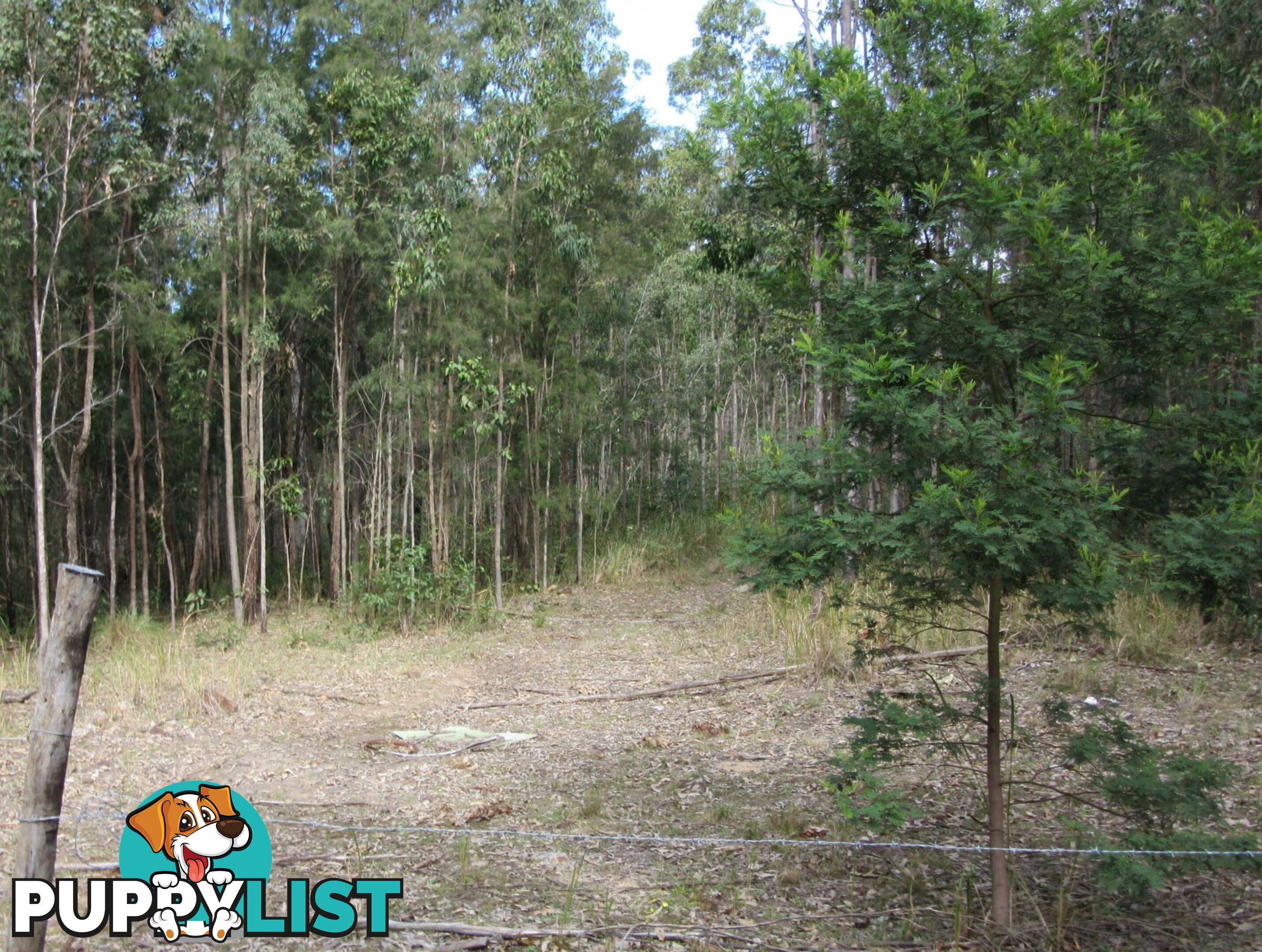 Lot 11 Leslie Creek Road Drake NSW 2469