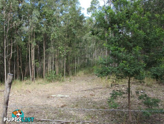 Lot 11 Leslie Creek Road Drake NSW 2469