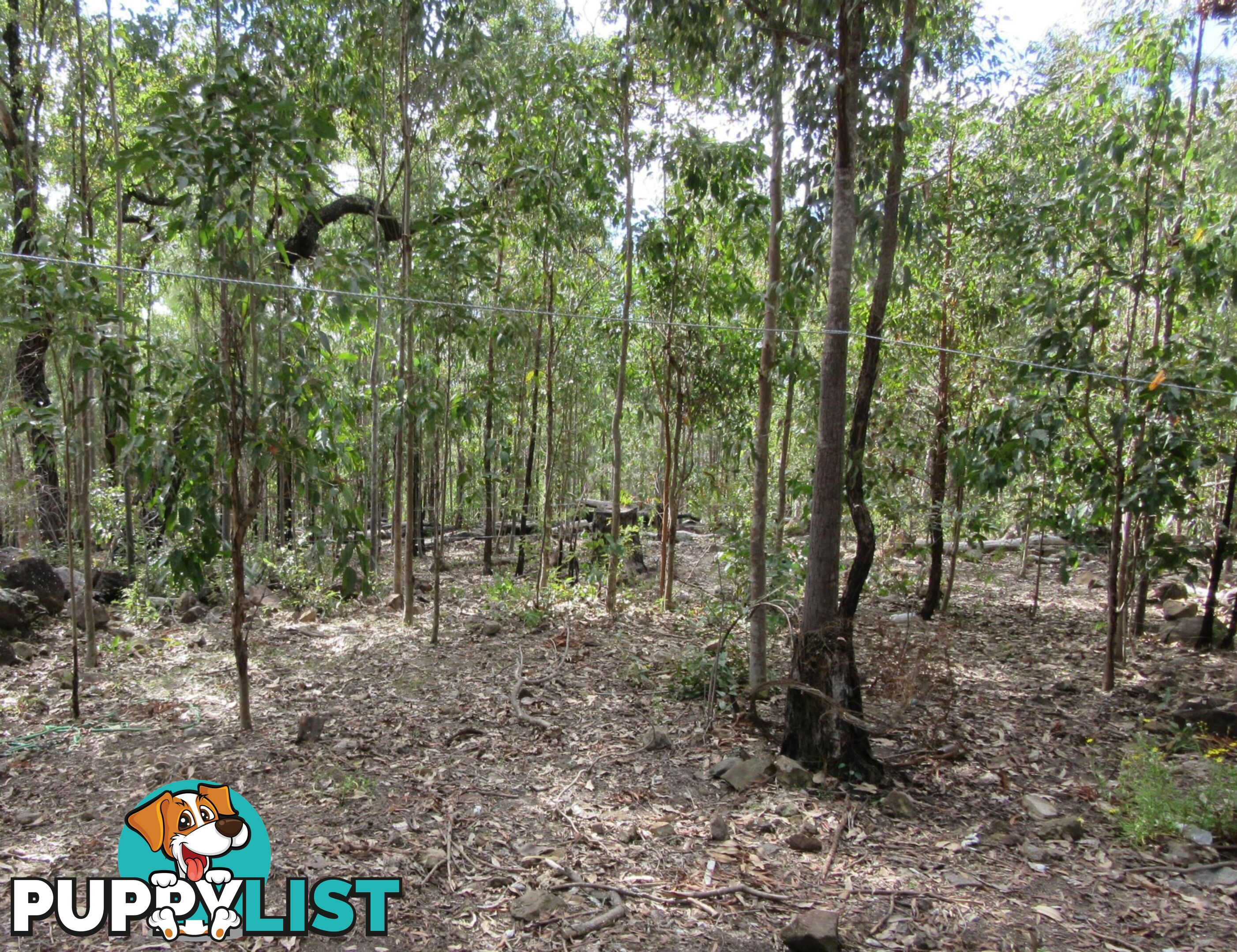 Lot 11 Leslie Creek Road Drake NSW 2469