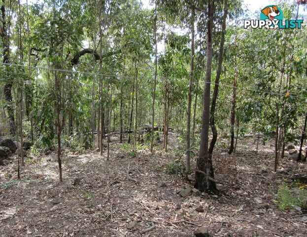 Lot 11 Leslie Creek Road Drake NSW 2469