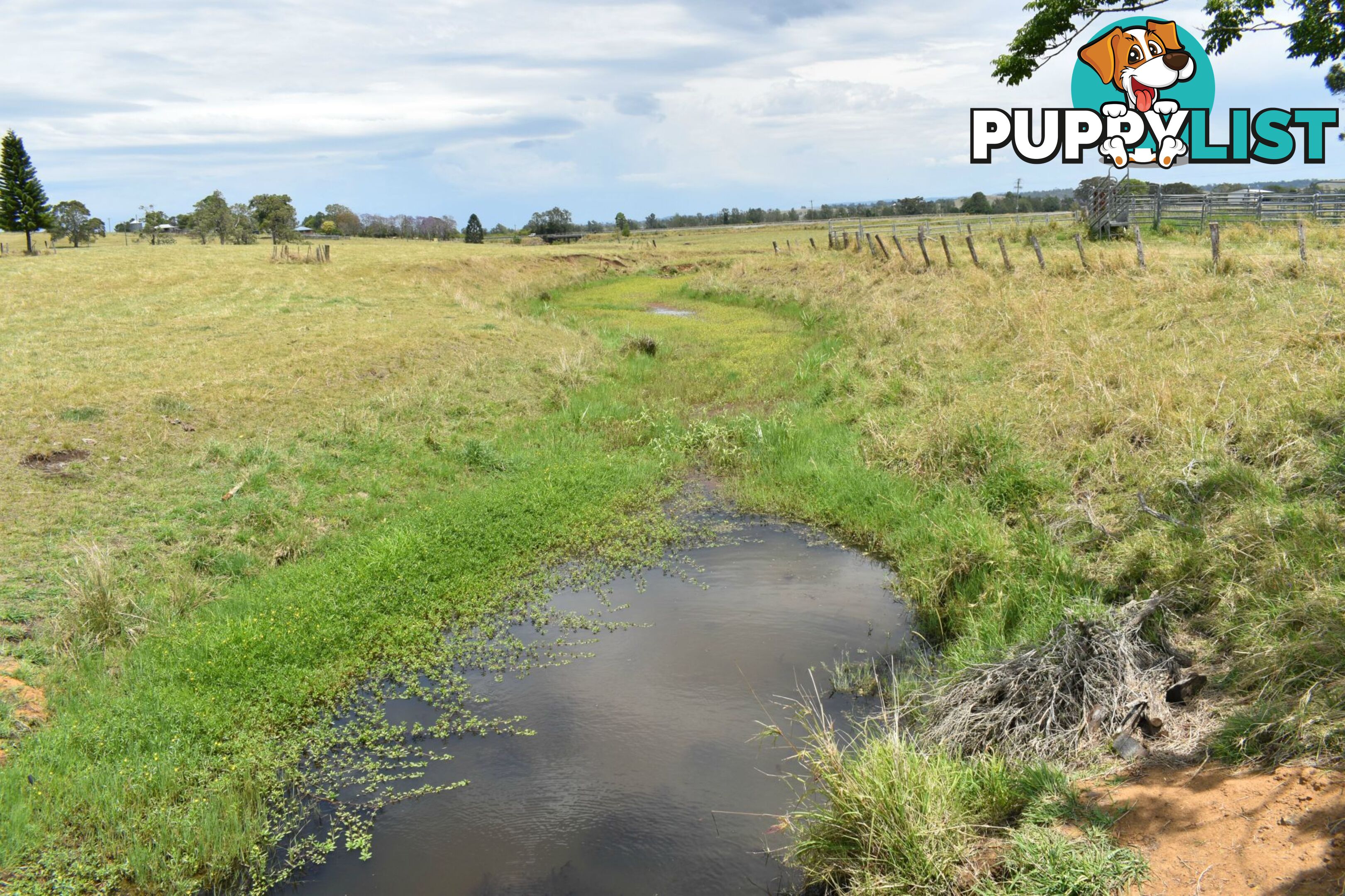 Lot 321 Summerland Way Kyogle NSW 2474