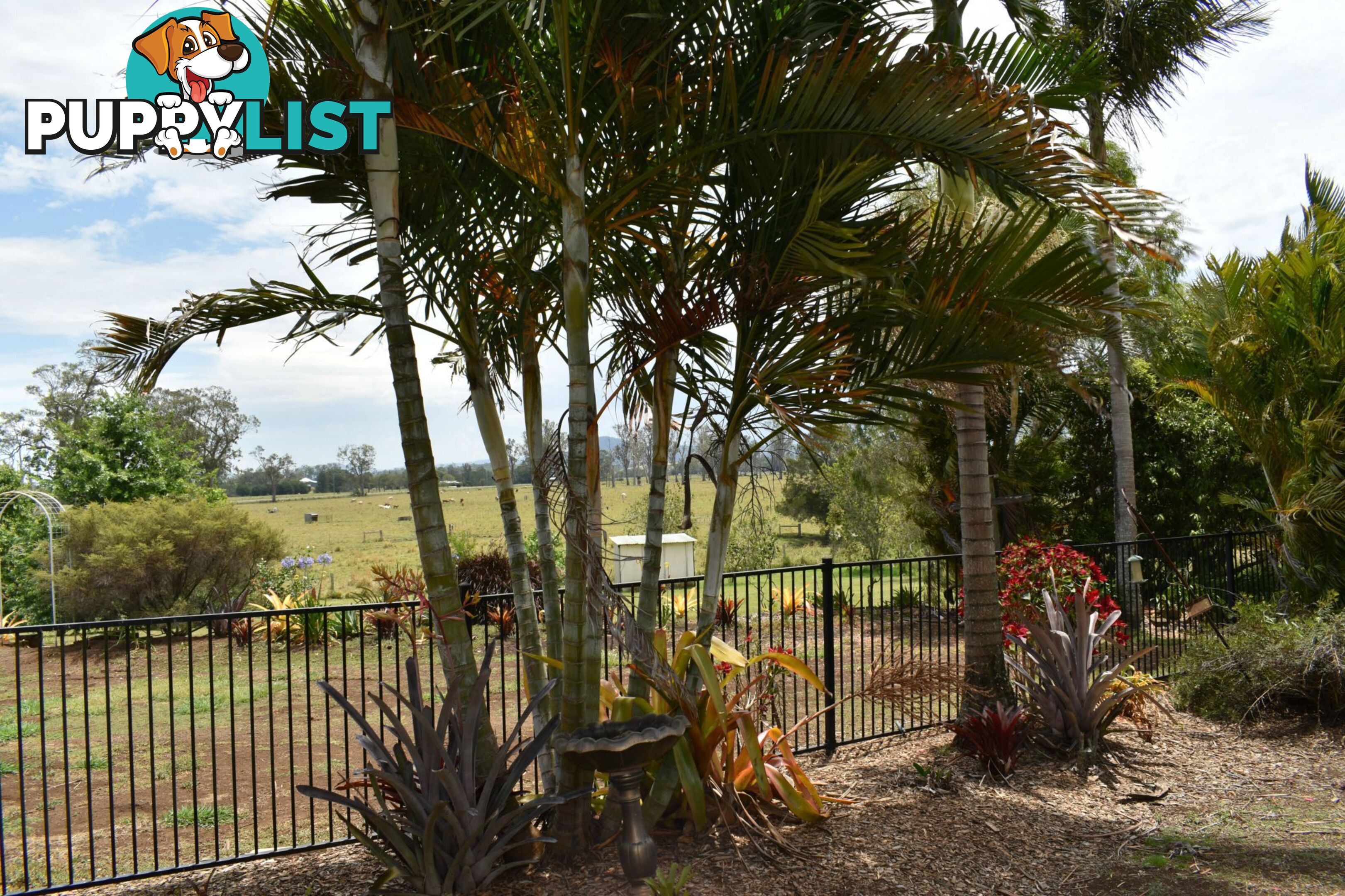 Lot 321 Summerland Way Kyogle NSW 2474