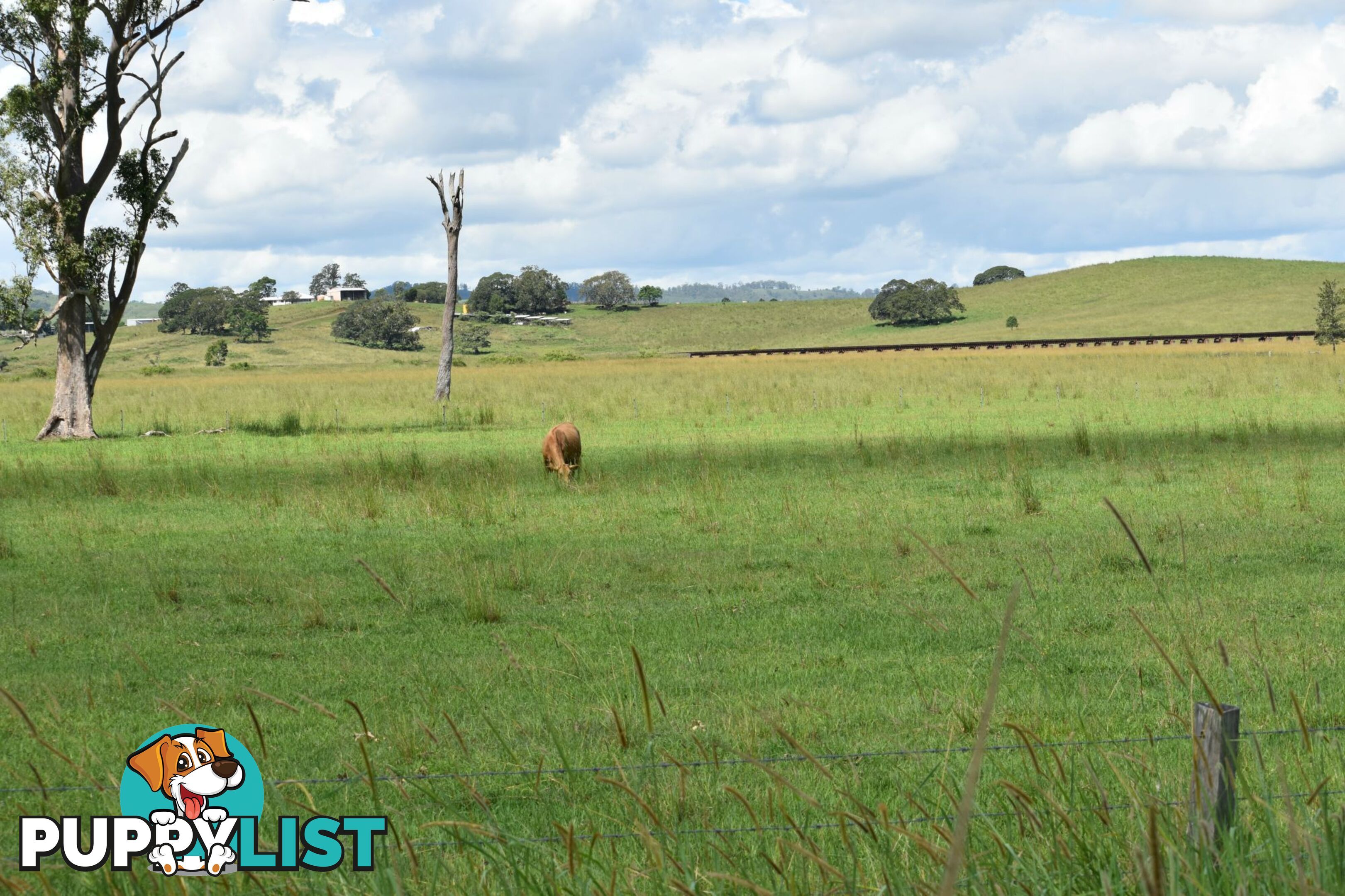 Lot 321 Summerland Way Kyogle NSW 2474