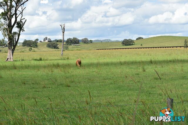 Lot 321 Summerland Way Kyogle NSW 2474