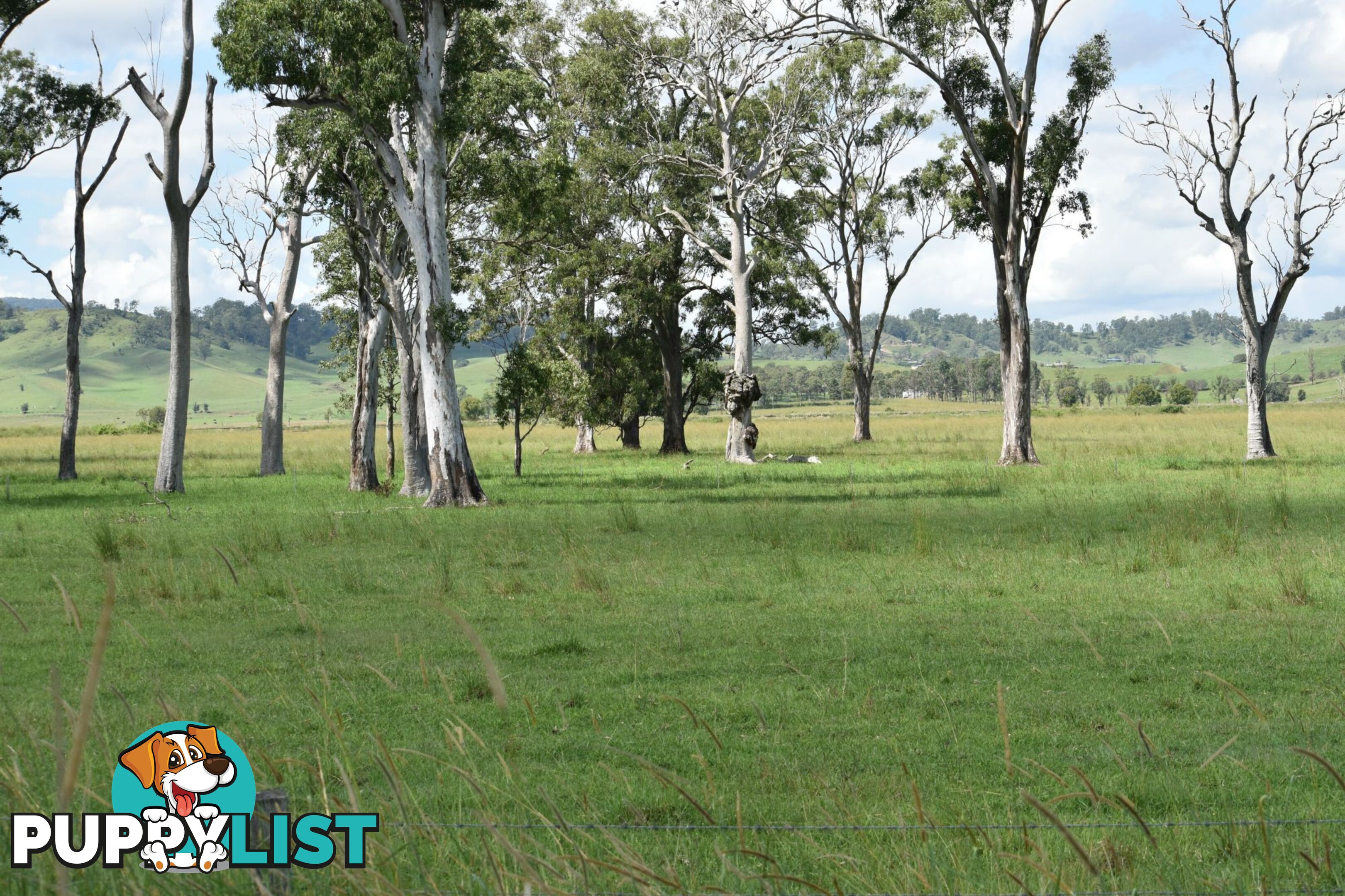 Lot 321 Summerland Way Kyogle NSW 2474