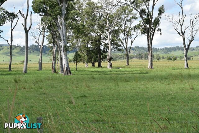 Lot 321 Summerland Way Kyogle NSW 2474